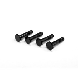 Brake Caliper Screw (4 pcs)  N 431
