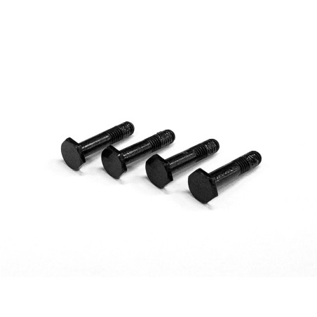 Brake Caliper Screw (4 pcs)  N 431